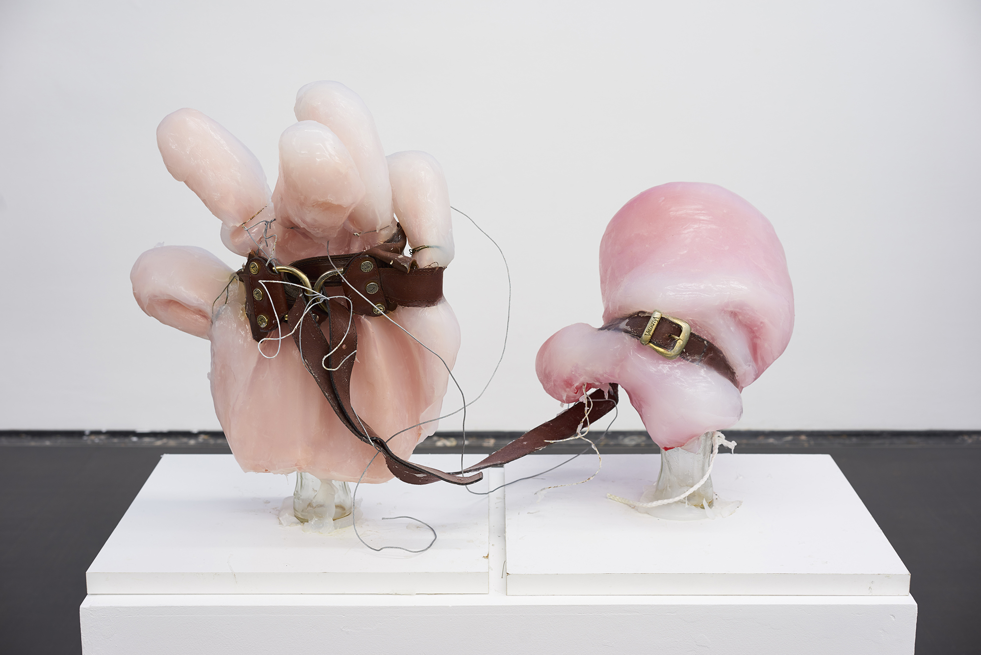 Eric Sidner - Der Blonde Affe